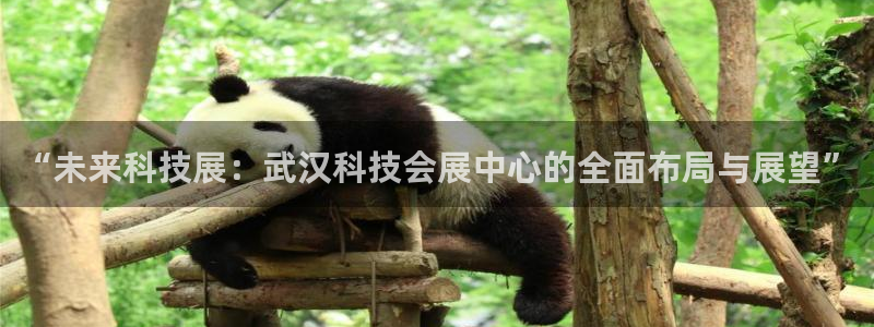 果博注册会员维wckk389：“未来科技展：武汉科技会展中心的全面布局与展望”
