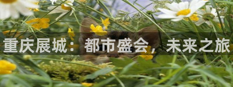果博公司客服怎么样：重庆展城：都市盛会，未来之旅