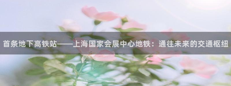 果博注册会员：首条地下高铁站——上海国家会展中心地铁：通往未来的交通枢纽