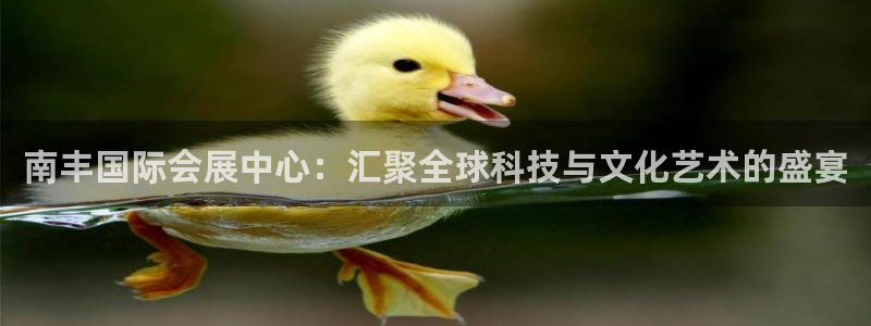 果博注册充值多少钱：南丰国际会展中心：汇聚全球科技与文化艺术的盛宴