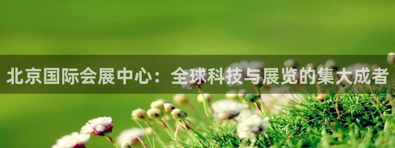 果博公司会员开户：北京国际会展中心：全球科技与展览的集大成者