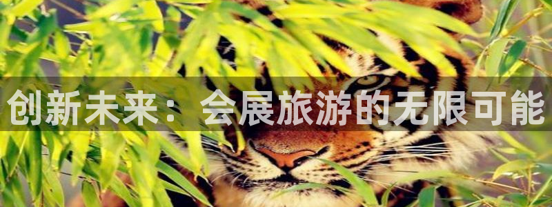 果博代理怎么注册：创新未来：会展旅游的无