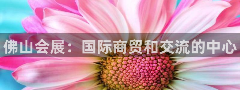 果博公司怎么开户：佛山会展：国际商贸和交流的中心