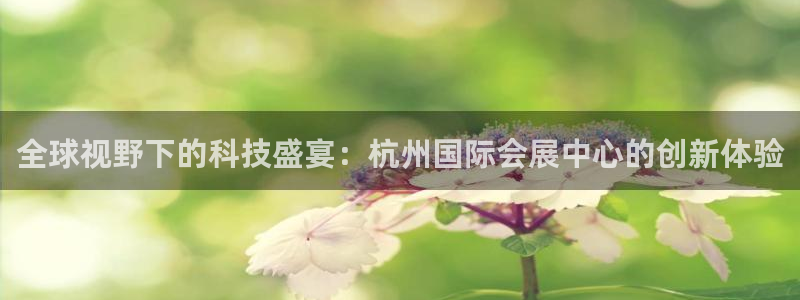 果博管理网：全球视野下的科技盛宴：杭州国际会展中心的创新体验