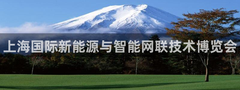 果博代理网：上海国际新能源与智能网联技术