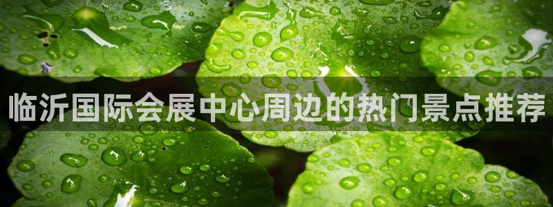 果博平台真实吗安全吗可信吗安全吗