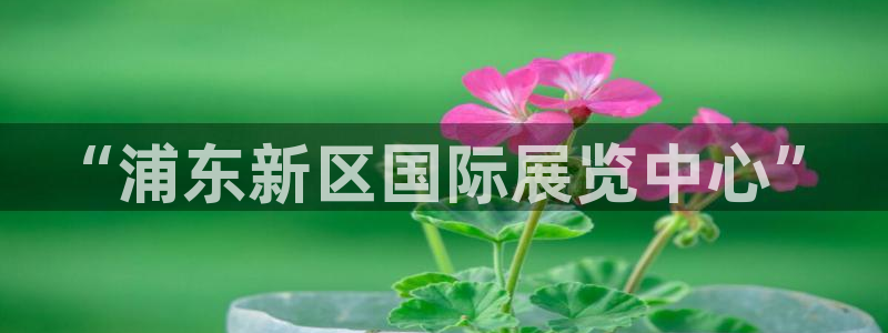 果博手机版官方下载：“浦东新区国际展览中心”