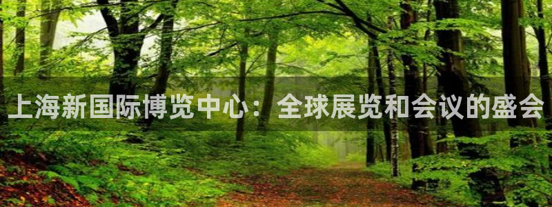 果博公司开户热线：上海新国际博览中心：全