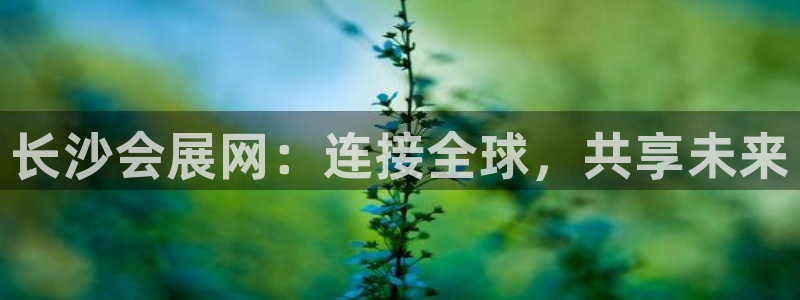 果博怎么注册账号：长沙会展网：连接全球，共享未来
