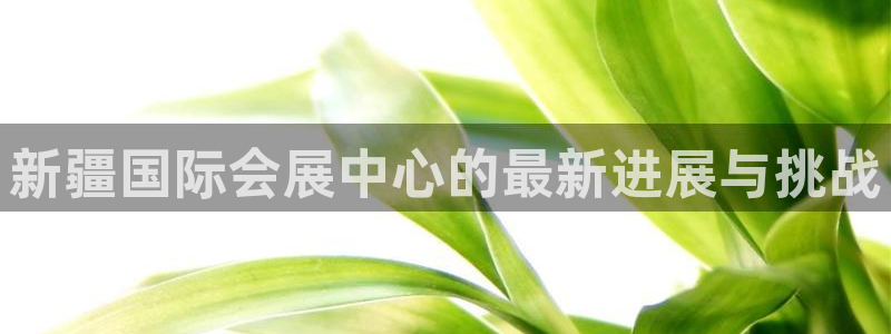 果博代理网：新疆国际会展中心的最新进展与挑战