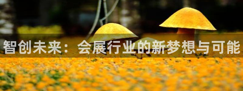 果博注册会员维wckk389：智创未来：会展行业的新梦想与可能