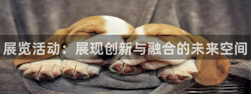 果博注册客服电话是多少号码：展览活动：展现创新与融合的未来空间