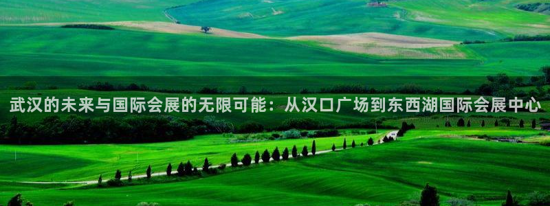 果博官网客服电话号码是多少：武汉的未来与国际会展的无限可能：从汉口广场到东西湖国际会展中心