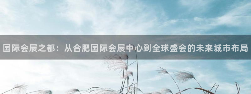 果博公司客服怎么样：国际会展之都：从合肥国际会展中心到全球盛会的未来城市布局