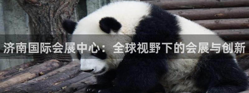 果博注册客服电话是多少啊：济南国际会展中心：全球视野下的会展与创新