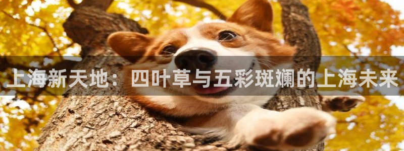 果博平台开户电话：上海新天地：四叶草与五彩斑斓的上海未来