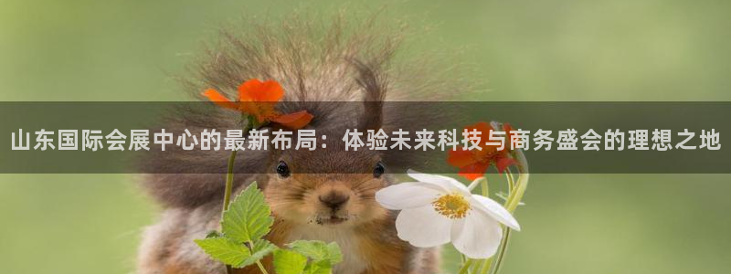 果博是怎么登录的：山东国际会展中心的最新布局：体验未来科技与商务盛会的理想之地