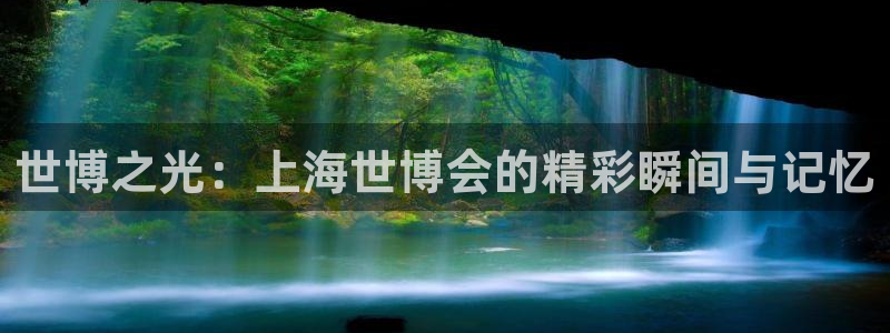 果博服务电话：世博之光：上海世博会的精彩瞬间与记忆
