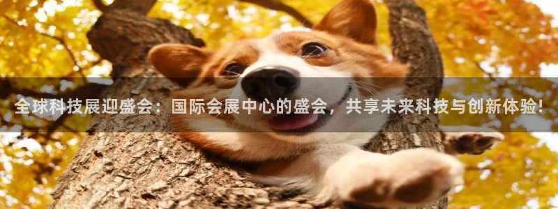 果博公司客服联系方式：全球科技展迎盛会：国际会展中
