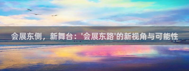 果博注册平台怎么注册：会展东侧，新舞台：\'会展东路\'的新视角与可能性