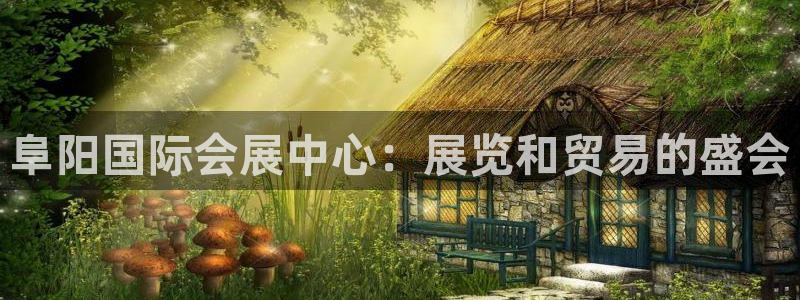 果博公司怎么开户：阜阳国际会展中心：展览和贸易的盛会