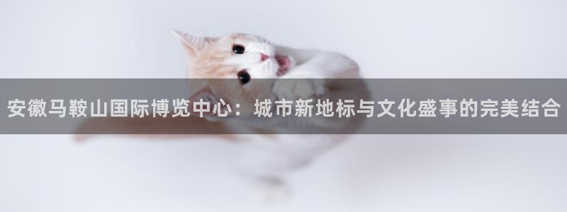 手机怎样下载果博：安徽马鞍山国际博览中心：城市新地标与文化盛事的完美结合