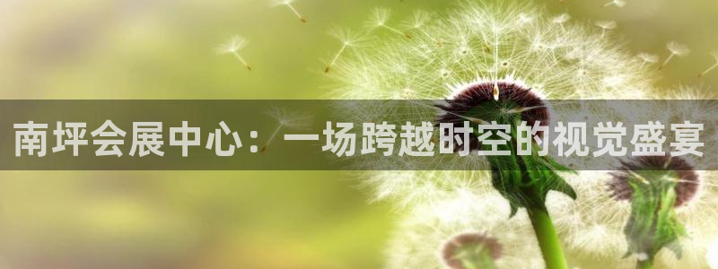 果博公司会员注册：南坪会展中心：一场跨越