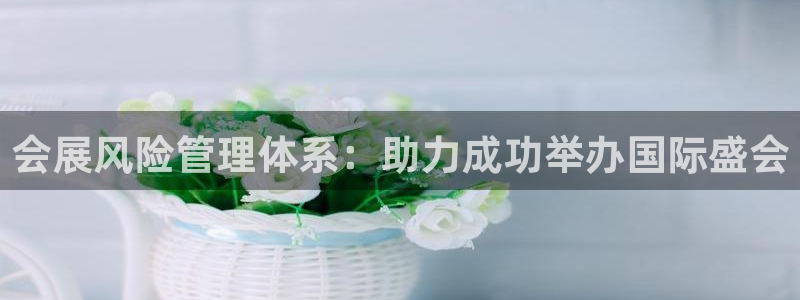 果博平台真实吗安全吗可信吗：会展风险管理体系：助力成功举办国际盛会