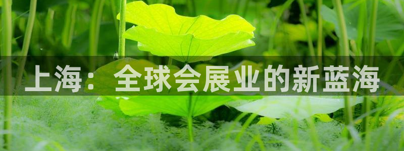 果博gbe168：上海：全球会展业的新蓝海