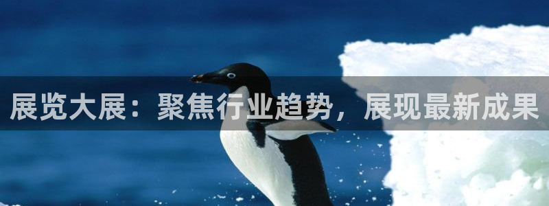 果博怎么注册账号