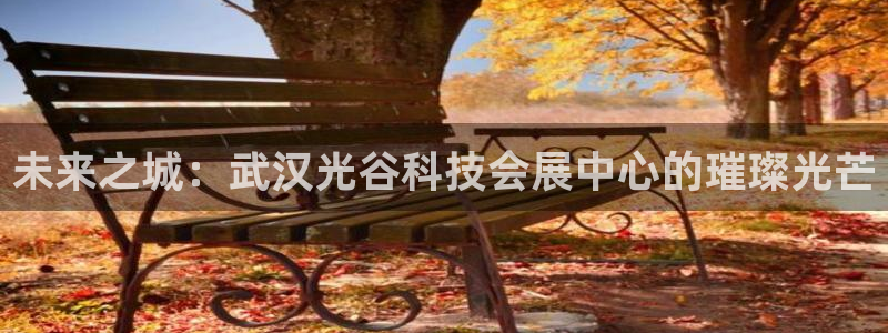 果博官网客服电话号码：未来之城：武汉光谷科技会展中心的璀璨光芒