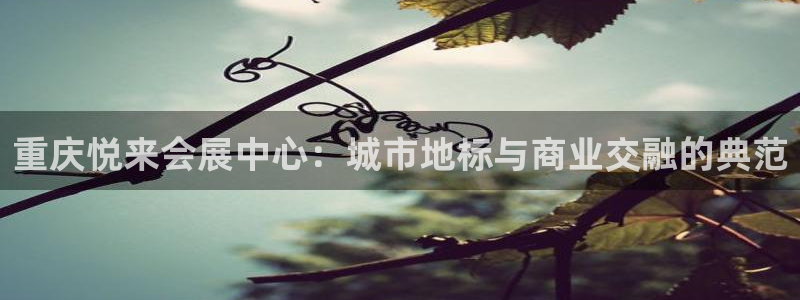 手机怎样下载果博：重庆悦来会展中心：城市地标与商业交融的典范