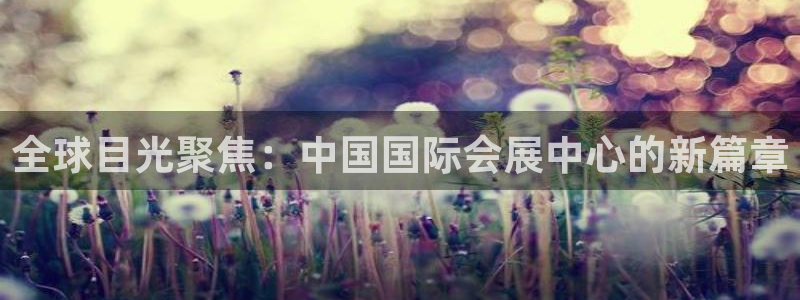 果博注册账号链接：全球目光聚焦：中国国际会展中心的新篇章
