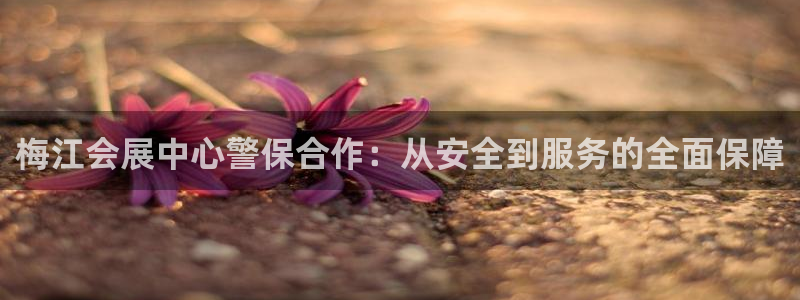 果博东官方网站怎么下载：梅江会展中心警保合作：从安全到服务的全面保障