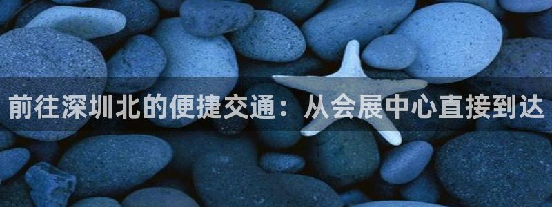 果博平台开户电话查询：前往深圳北的便捷交通：从会展中心直接到达