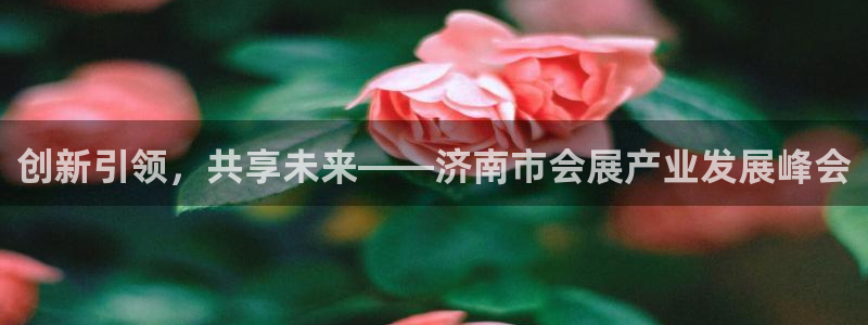 果博app官网下载：创新引领，共享未来—