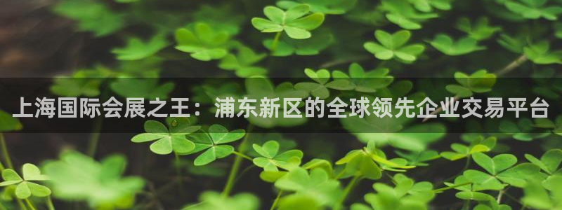 果搏代理：上海国际会展之王：浦东新区的全球领先企业交易平台