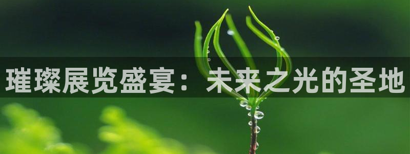 果博手机下载网址：璀璨展览盛宴：未来之光的圣地