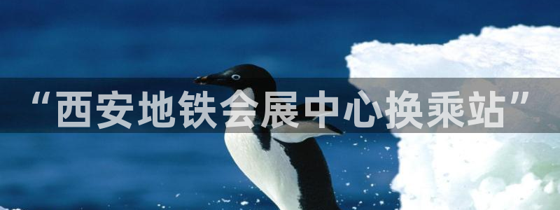 果博手机版下载：“西安地铁会展中心换乘站”