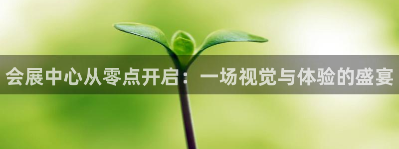 果博公司怎么开户：会展中心从零点开启：一场视觉与体验的盛宴