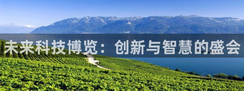 果博注册平台：未来科技博览：创新与智慧的盛会