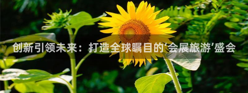 果博平台真实吗安全吗可信吗安全吗：创新引