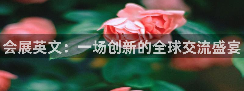 果博平台电话：会展英文：一场创新的全球交
