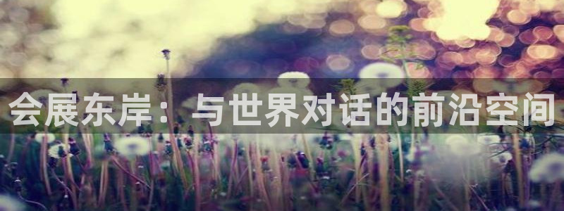 苹果电脑可以下载博易大师吗：会展东岸：与