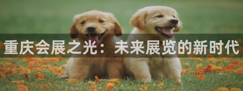 果博平台客服电话：重庆会展之光：未来展览