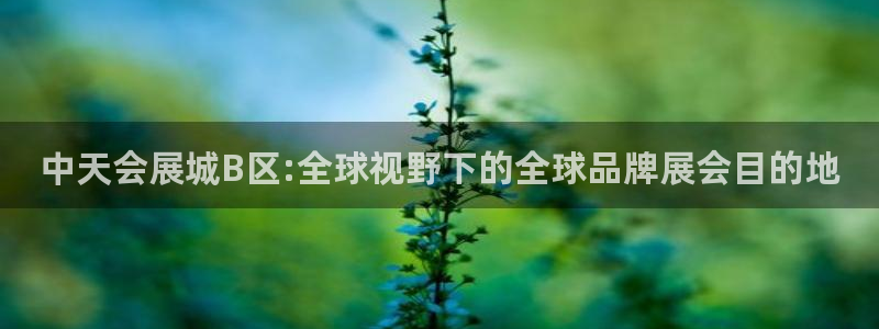 果博注册客服电话是多少：中天会展城B区: