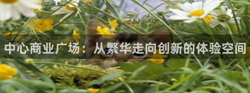 果博公司客服微信公众号