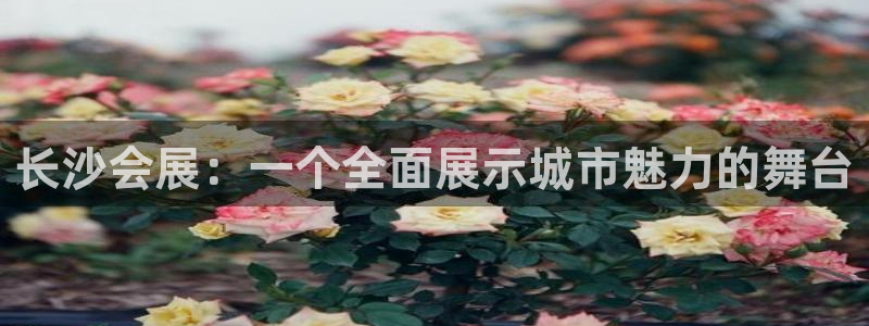 果博平台开户电话查询：长沙会展：一个全面