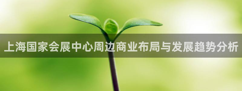 果博东官方网站怎么下载：上海国家会展中心