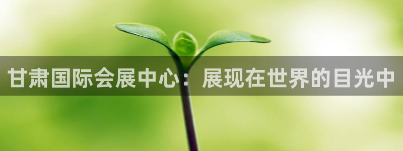 果博平台苹果电脑怎么下载：甘肃国际会展中心：展现在世界的目光中